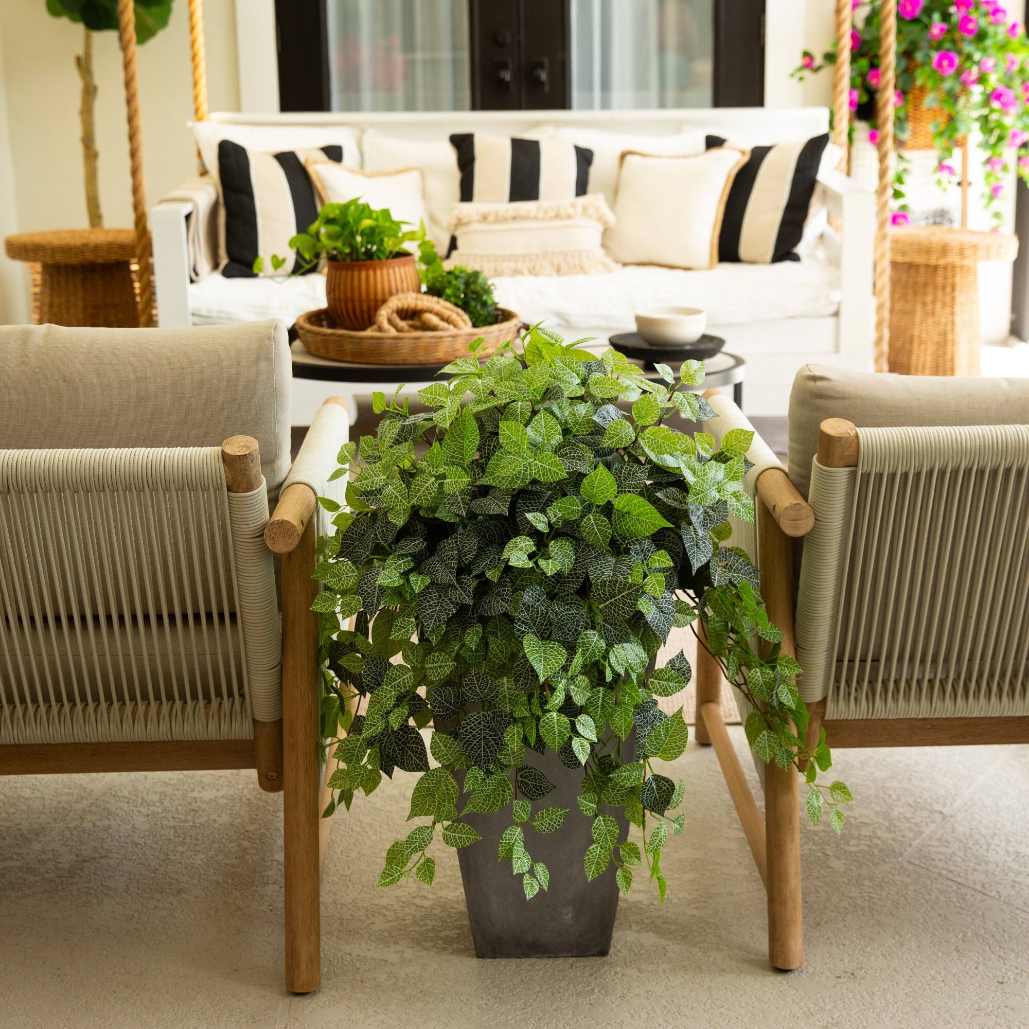 24" UV Resistant Artificial Fittonia Hanging Plant (Indoor/Outdoor) - Set of 3